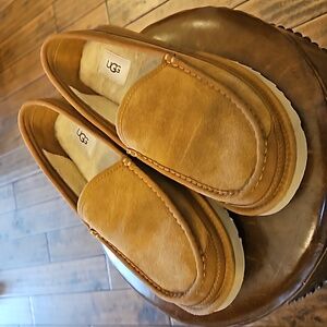 Mens Uggs